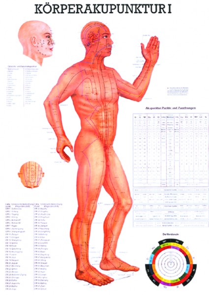 Anatomische Lehrtafel - Körperakupunktur I